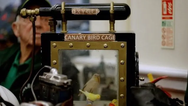 Oxygen supply system inside a Canary Bird Cage at Aylesham Community Trust, showcasing local wildlife conservation efforts and educational activities.